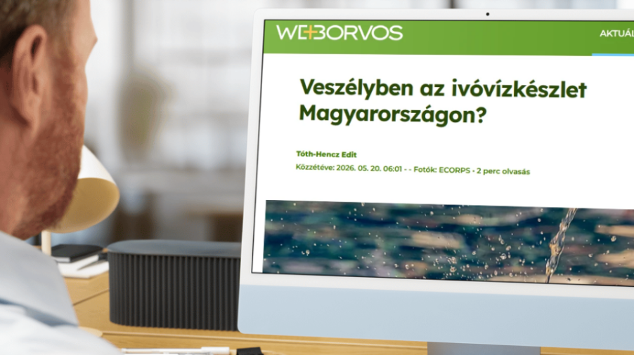 2026.05.20 Weborvos